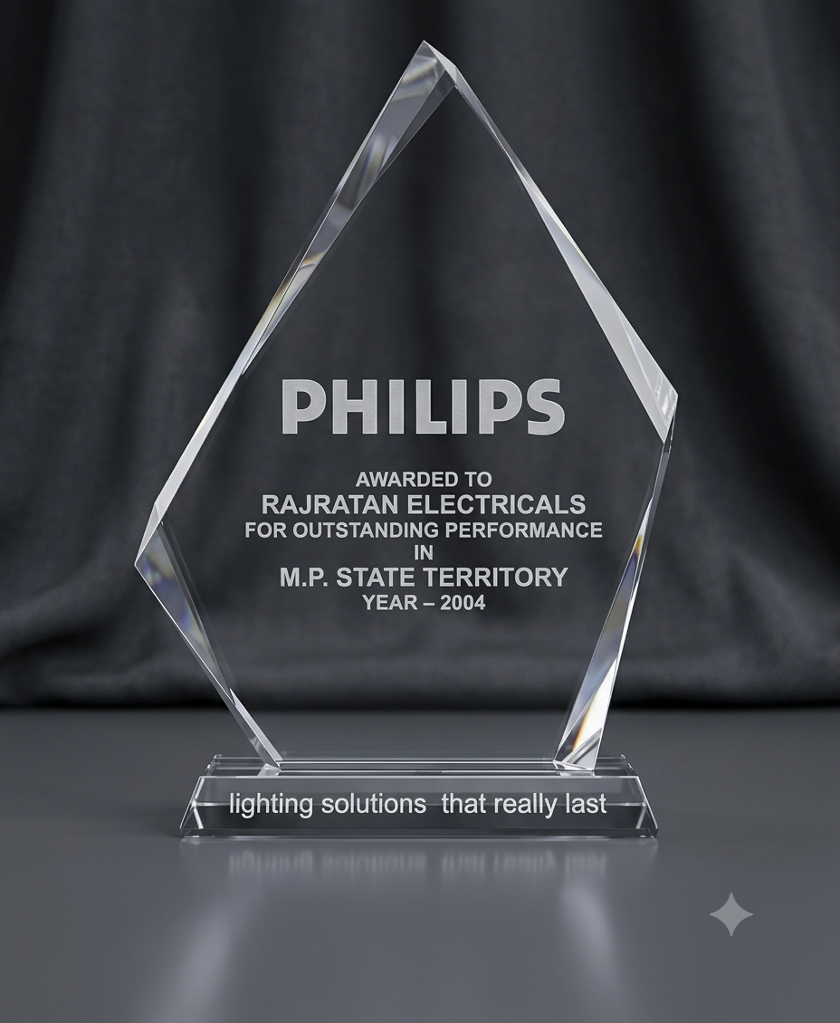 Philips — Outstanding Performance 2004